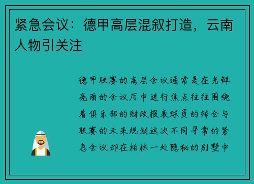 紧急会议：德甲高层混叙打造，云南人物引关注