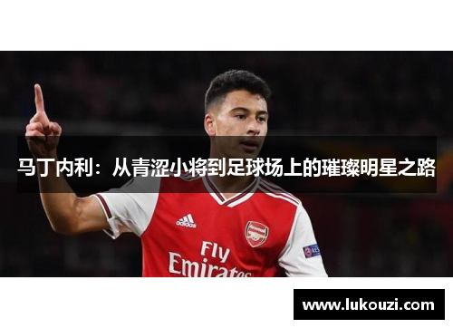 马丁内利：从青涩小将到足球场上的璀璨明星之路