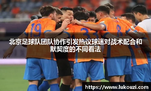 智博19有限公司